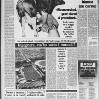l’Unità, cronaca di Bologna, 4 marzo 1987. Biblioteca della Fondazione Gramsci Emilia-Romagna.